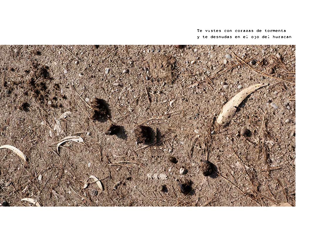 Ana-y-el-amor(reducido)-40